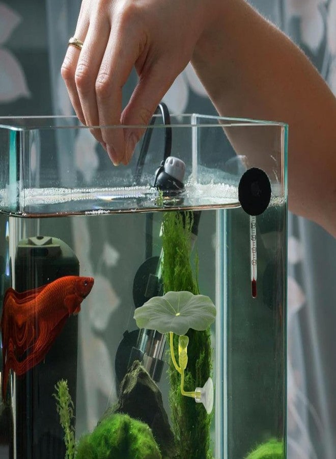 CZFSWT 4 Pcs Betta Hammock, Betta Fish Tank Accessories, Betta Fish Hammock with Lotus Decor, Aquarium Decor Set for Betta Fish, Small and Shrimp, Includes Black Tunnel and 3 Lotus Decorations for Play - Image 5